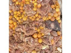 農業產業鏈全景 從田間地頭到畜牧漁業的協同發展